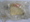 Кольцо направляющее ART 25 Bosch (арт. F016102778)